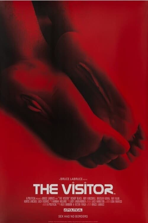 The Visitor