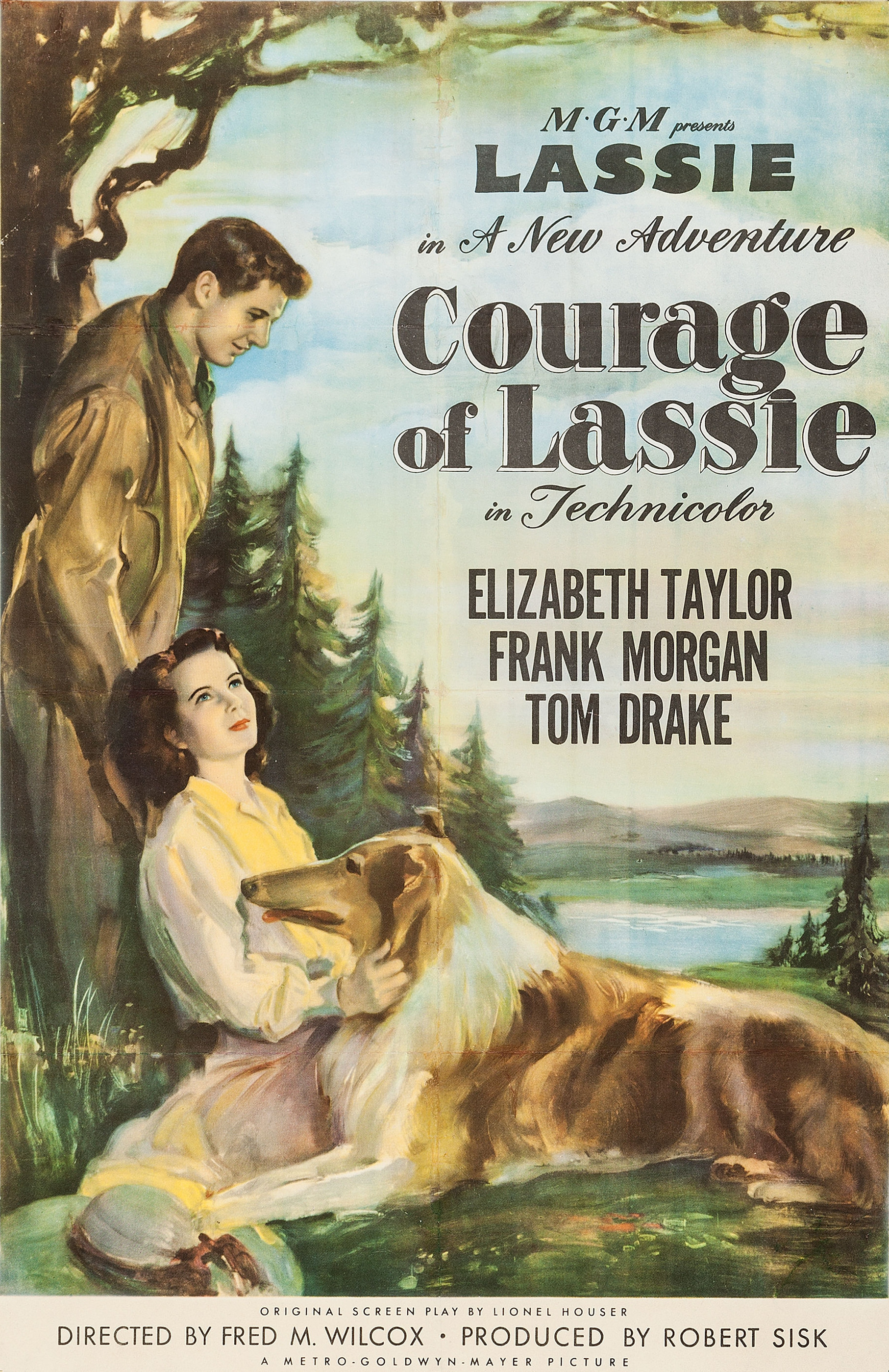 Il coraggio di Lassie