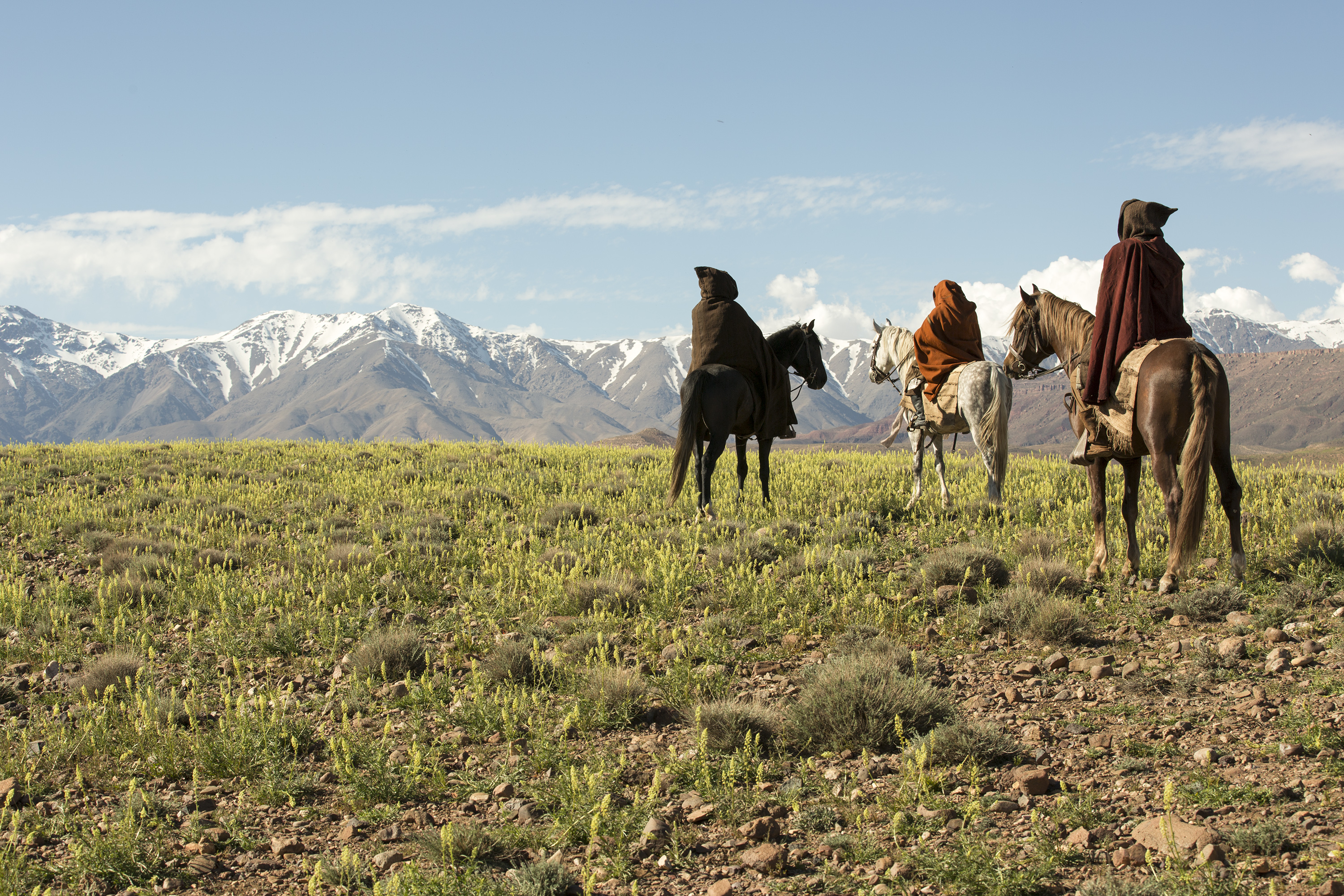 Milano Film Festival 2016 – In concorso il galiziano Oliver Laxe con 