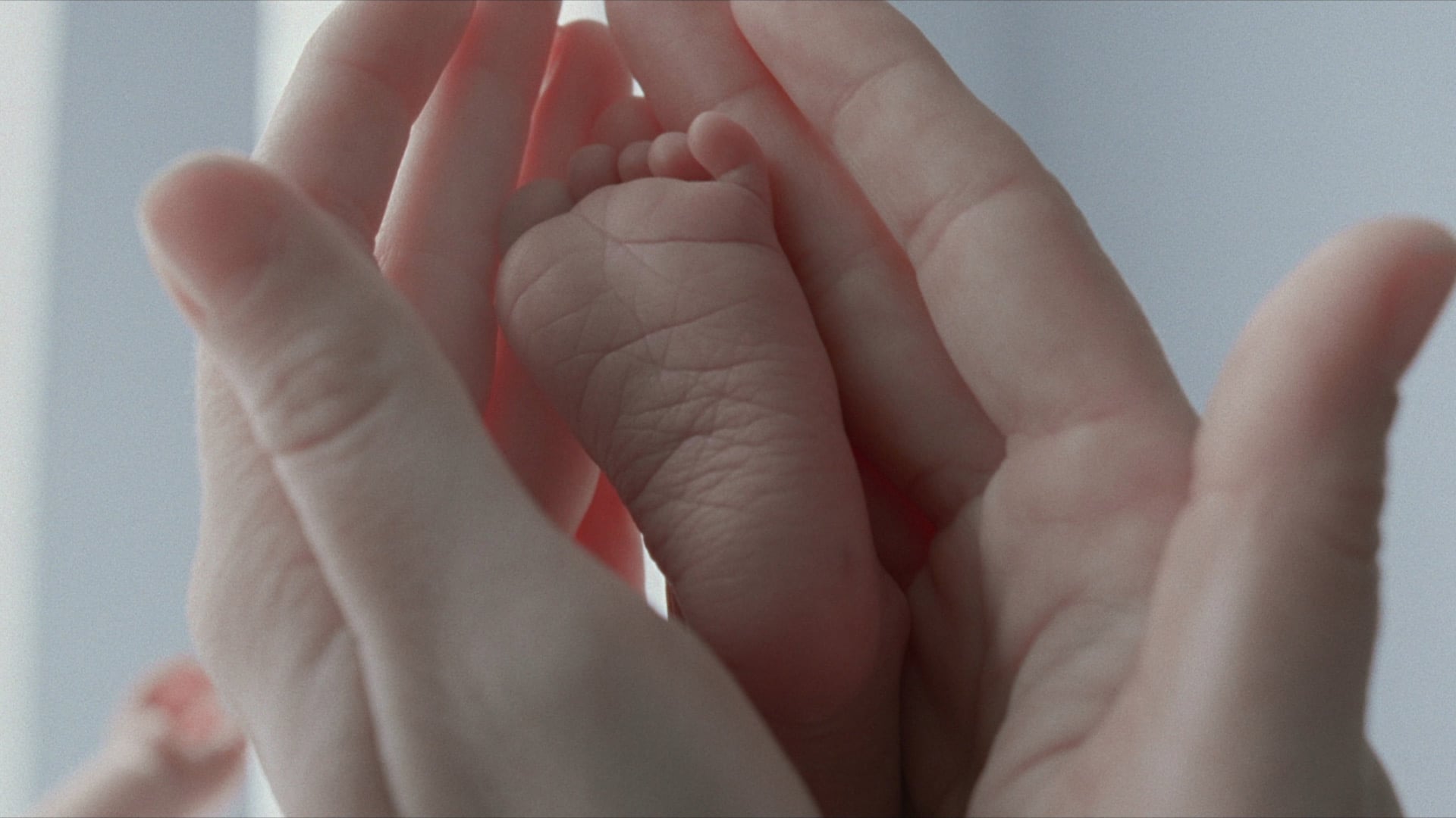 I 3 migliori film di Terrence Malick