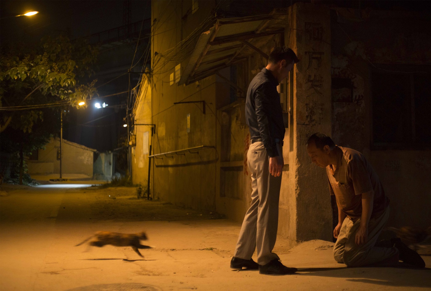 16|19 dicembre 2016 quattro anteprime dal 34° Torino Film Festival a Milano!