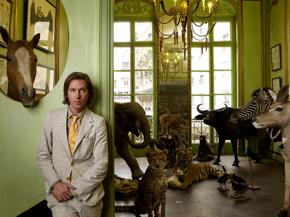 Wes Anderson torna all'animazione stop-motion con il suo prossimo film 
