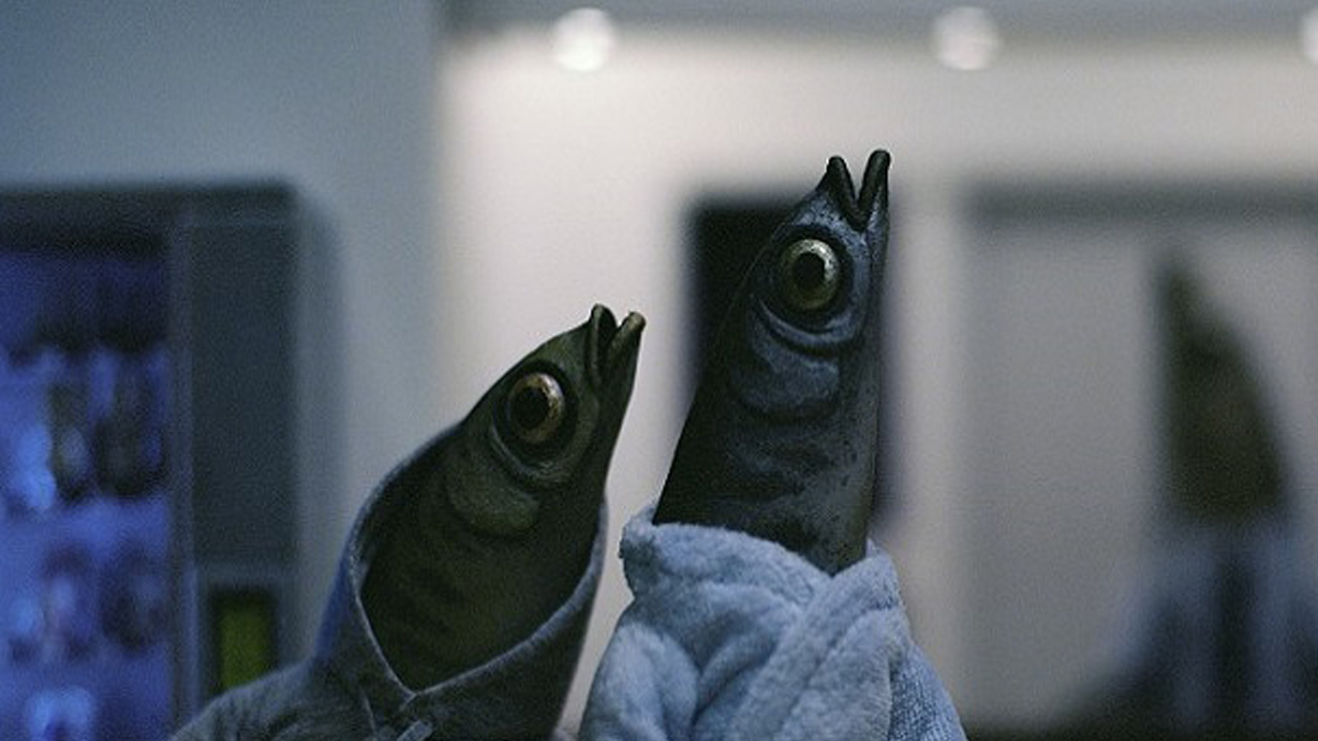 Milano Film Festival, giorno 6 – Il settimo gruppo di cortometraggi in concorso