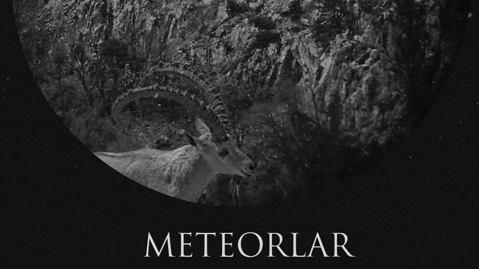 Tutti i premiati del Milano Film Festival 2017. 