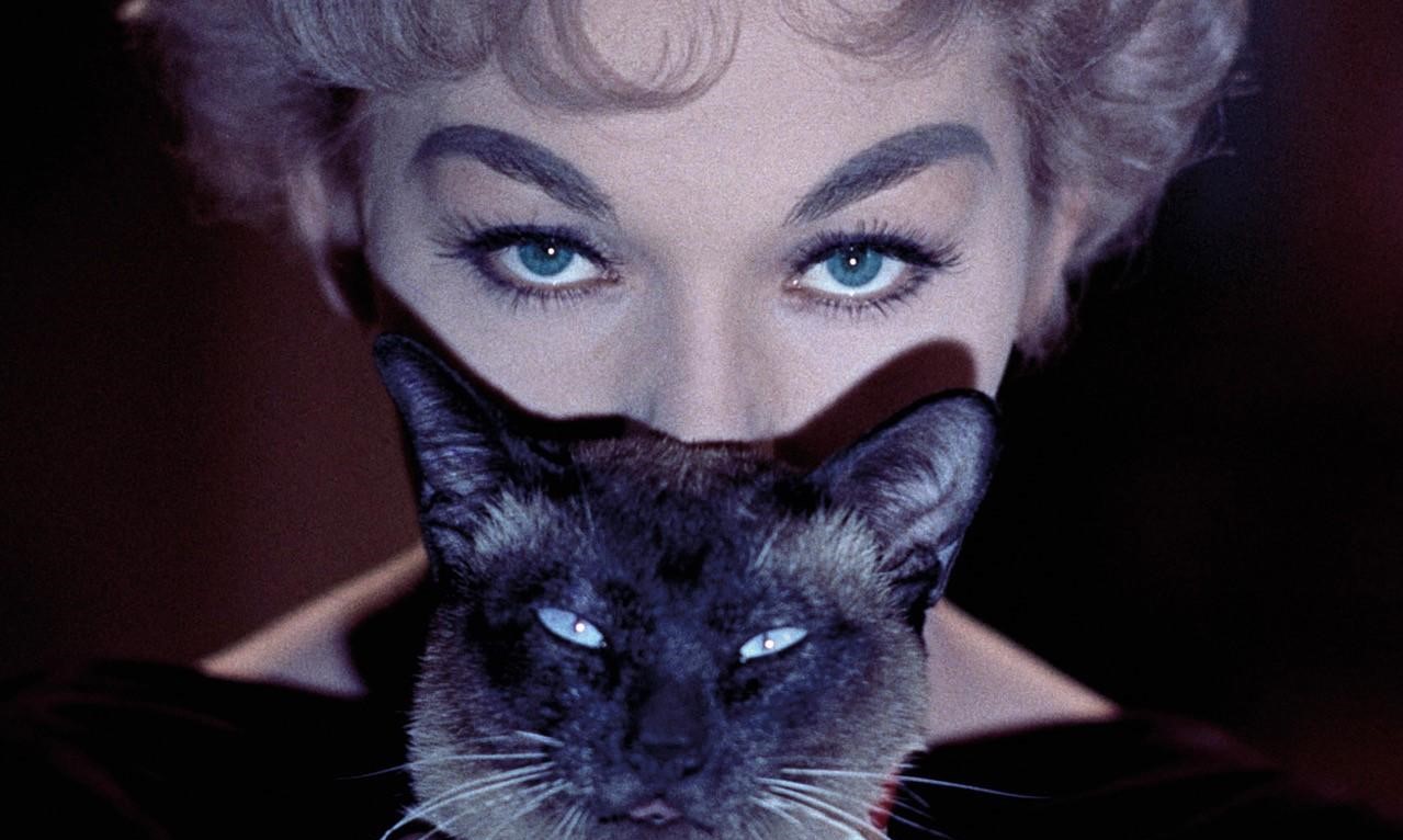 Il programma del Torino Film Festival 2017!