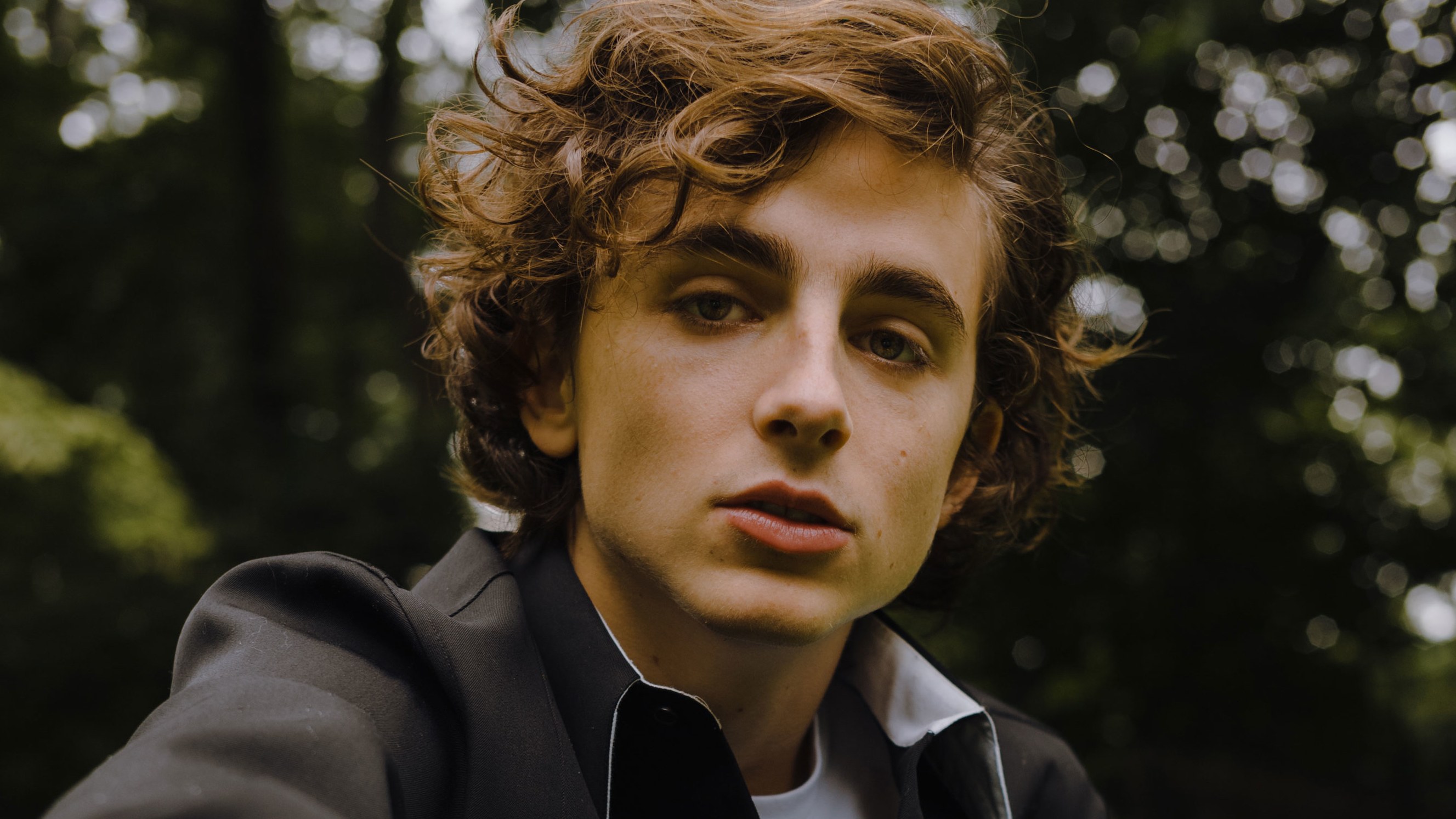 Timothée Chalamet rinuncia al suo compenso per l'ultimo film di Woody Allen