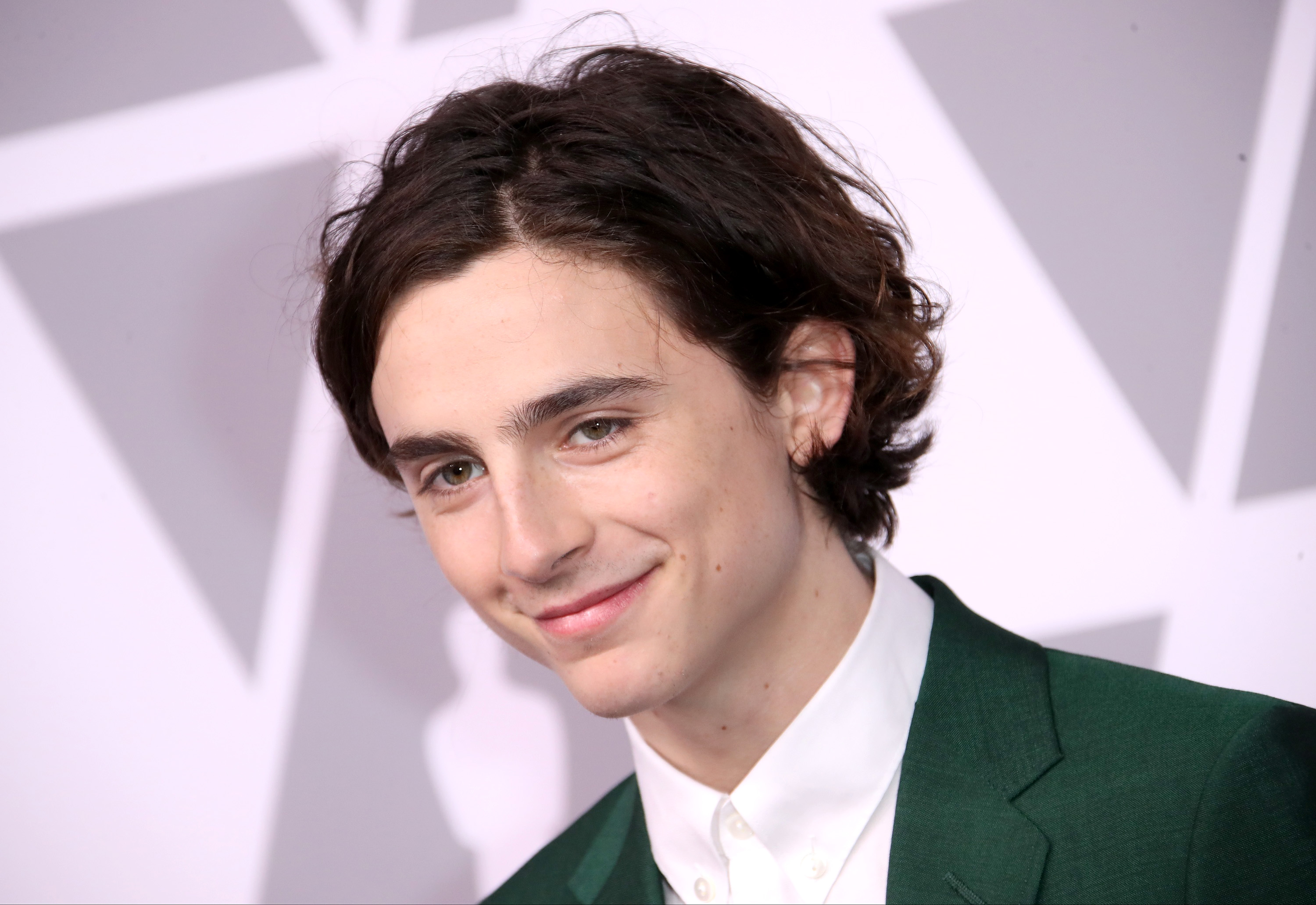 Timothée Chalamet sarà re Enrico V nel nuovo film Netflix di David Michôd
