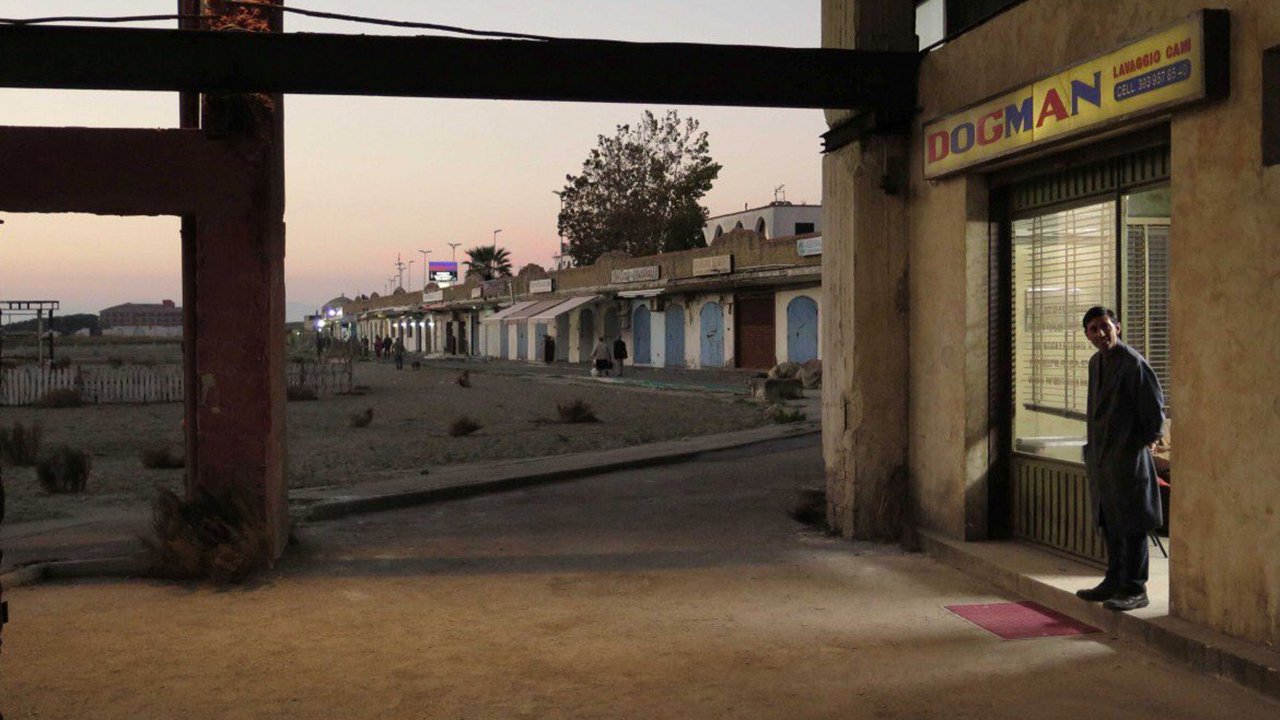 Il trailer ufficiale di 