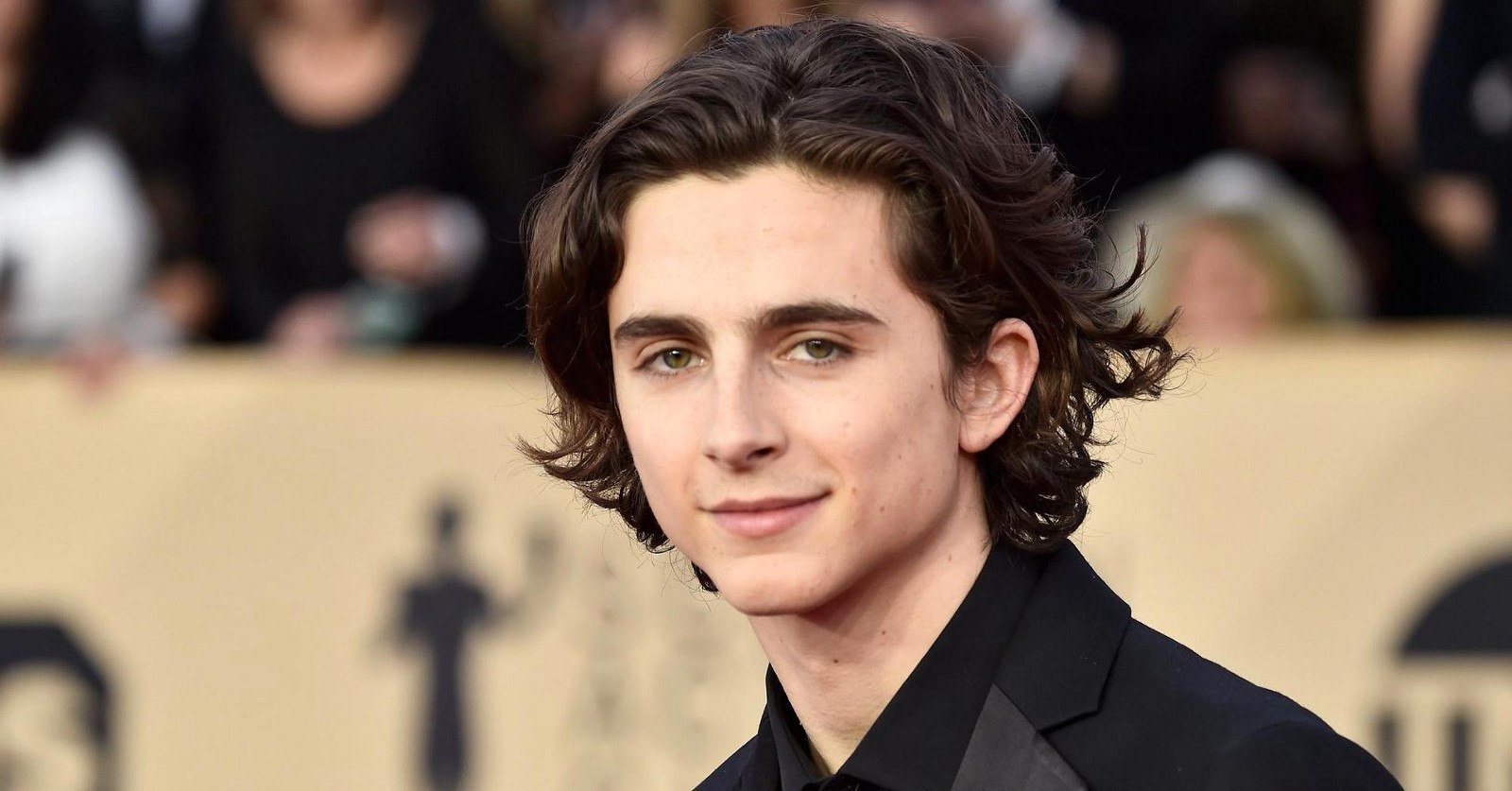 Timothée Chalamet nel cast di 