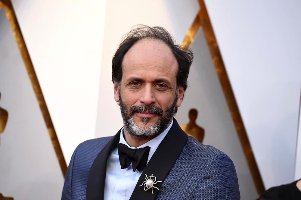 WORKSHOP SU LUCA GUADAGNINO: I VOSTRI ELABORATI!