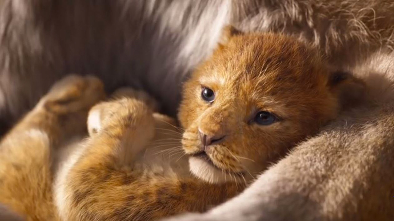 Il Re Leone: il nuovo trailer italiano ufficiale del film di Jon Favreau