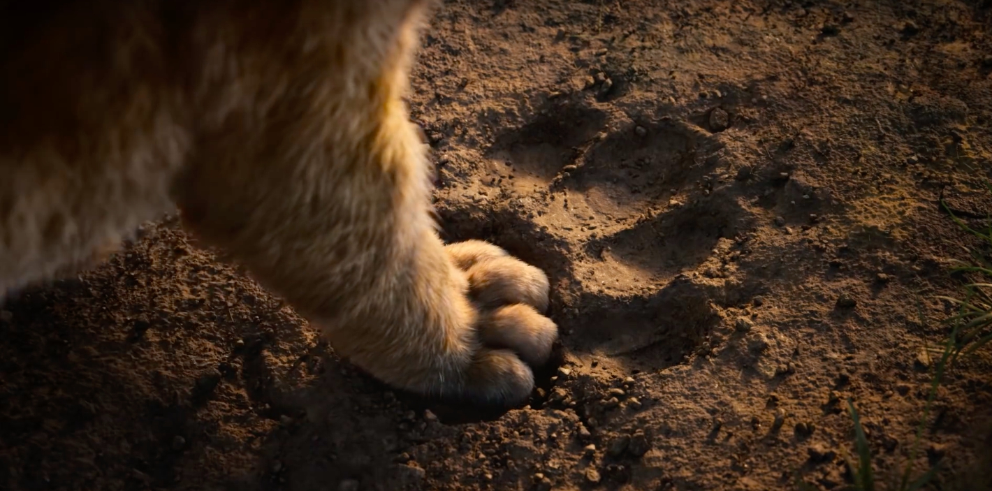 Il Re Leone: le prime reazioni