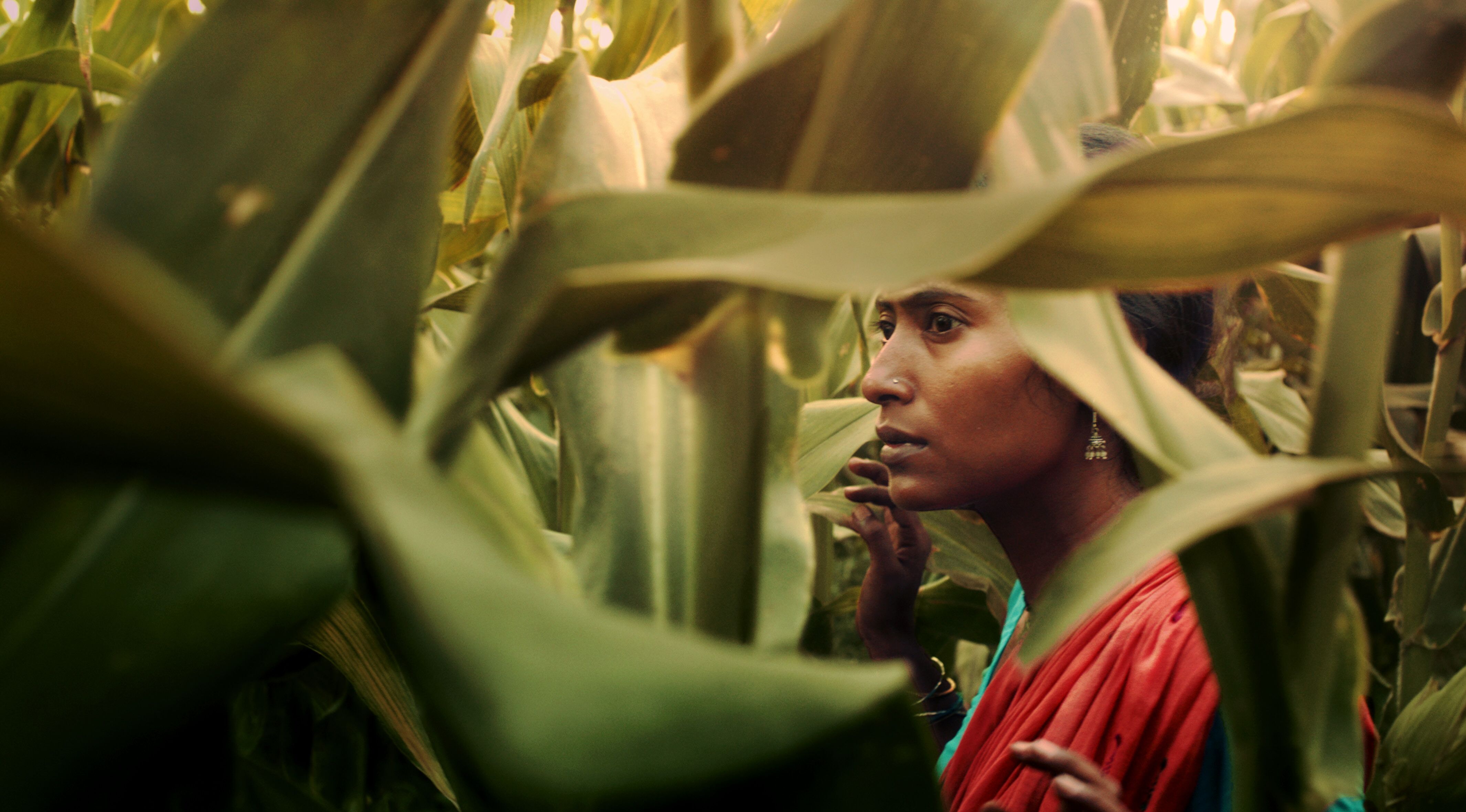 Dieci anni di Corto e Fieno, il Festival del cinema rurale: 4-5-6 ottobre 2019