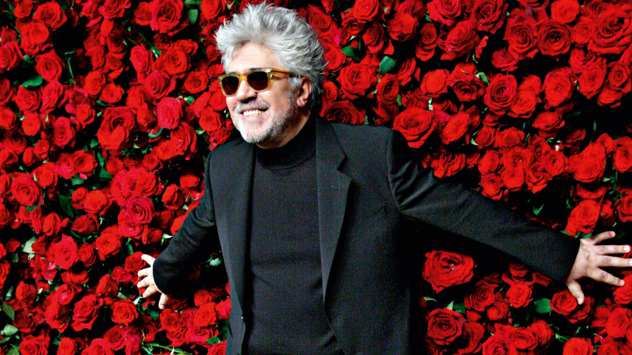 WORKSHOP SU PEDRO ALMODÓVAR: I VOSTRI ELABORATI!