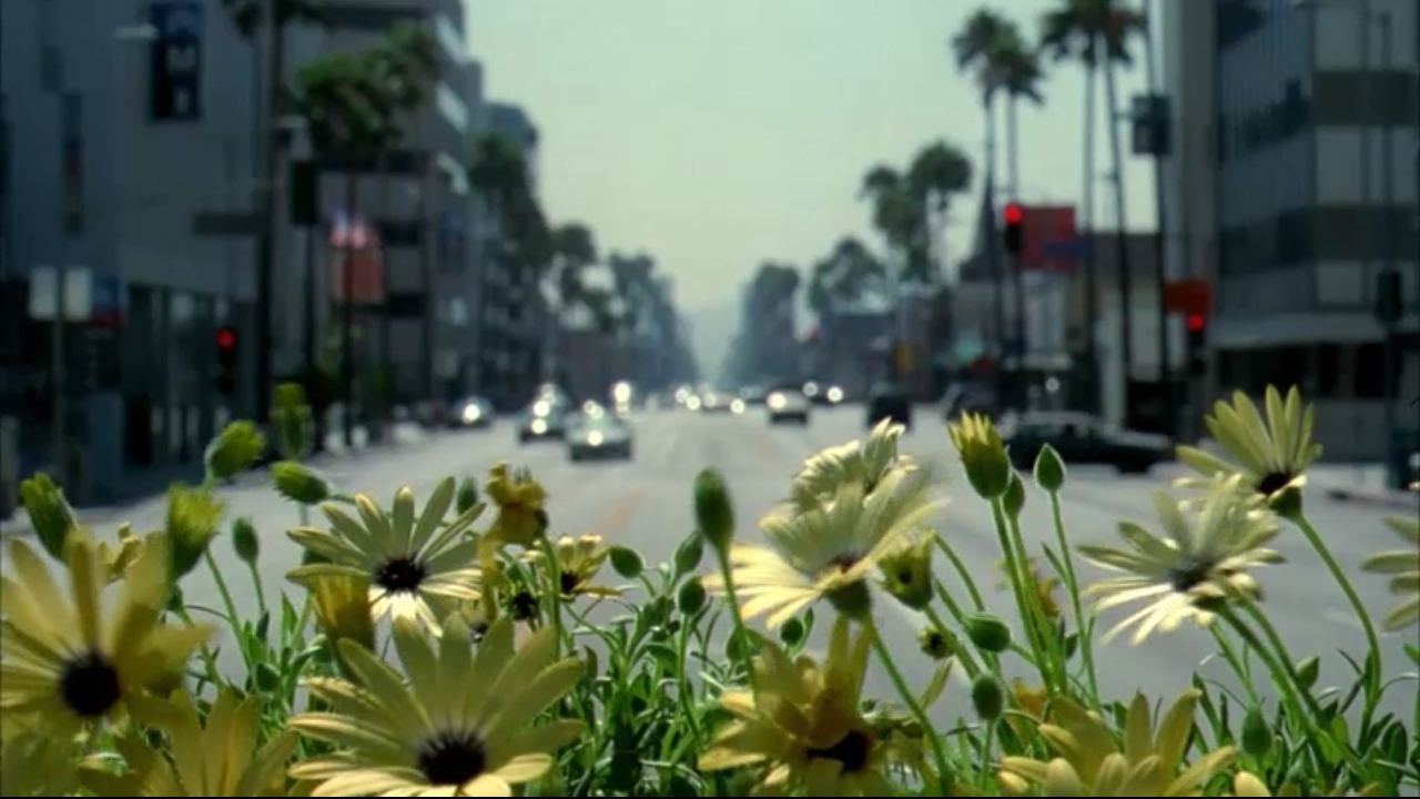 Master MICA - Analisi de 