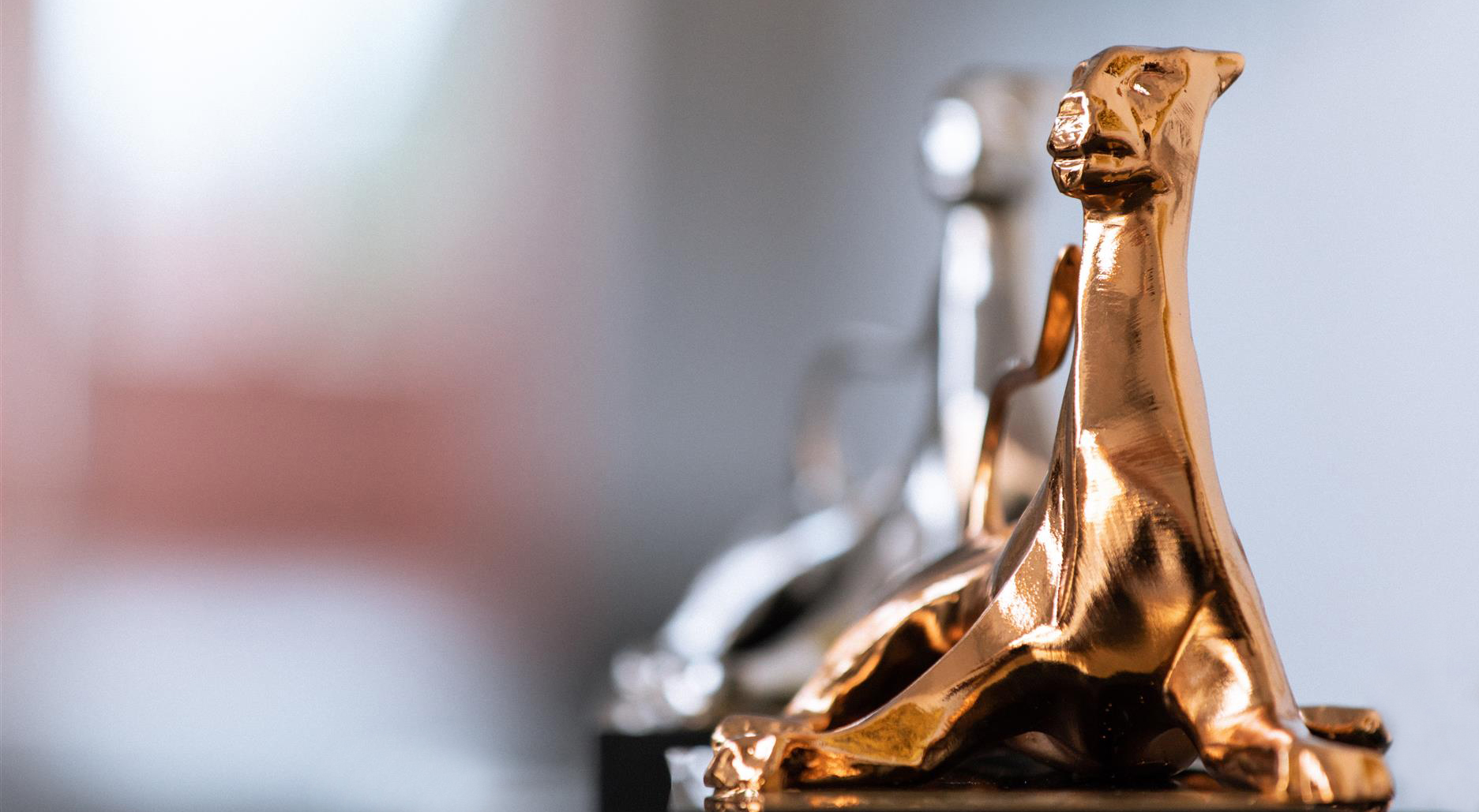 Locarno 2020: nasce The Films After Tomorrow