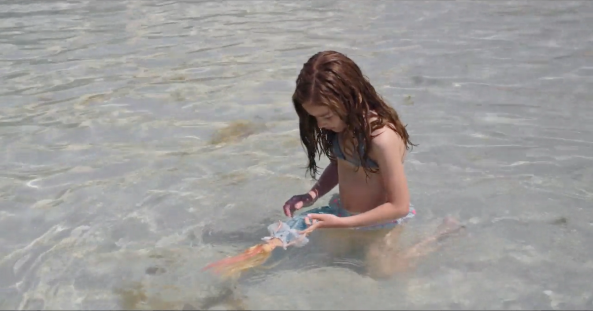 Le sorelle Macaluso: trailer, sinossi e clip del film di Emma Dante, tratto dalla sua pièce teatrale e in Concorso a Venezia 77