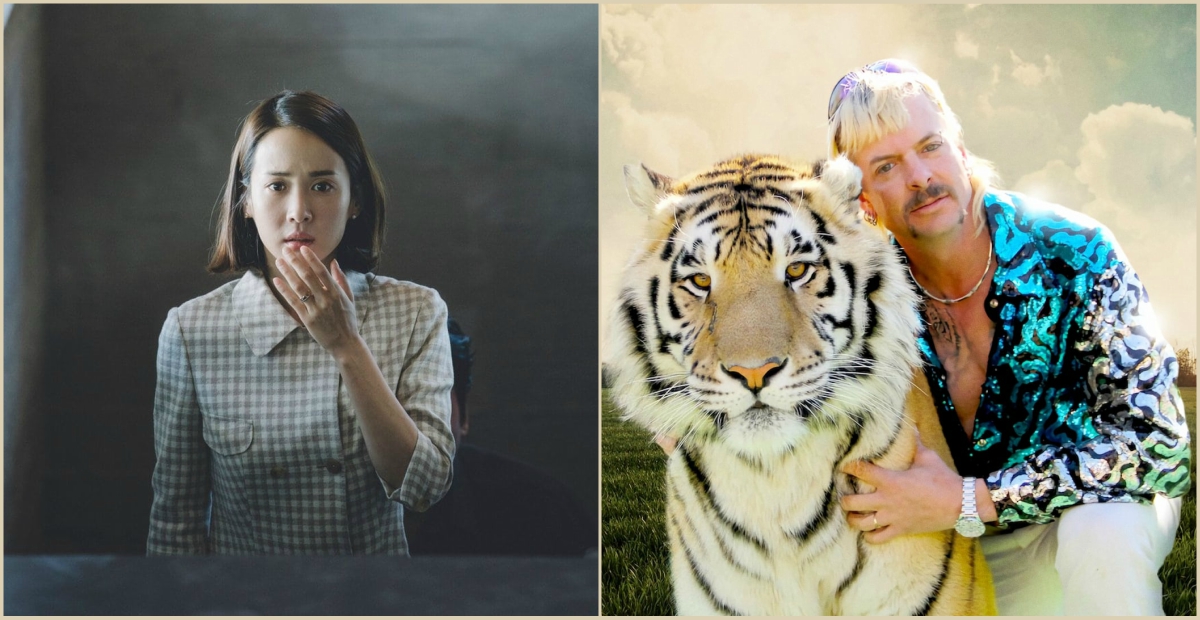 I film e le serie più cercate su Google del 2020: Parasite e Tiger King sono i più cliccati