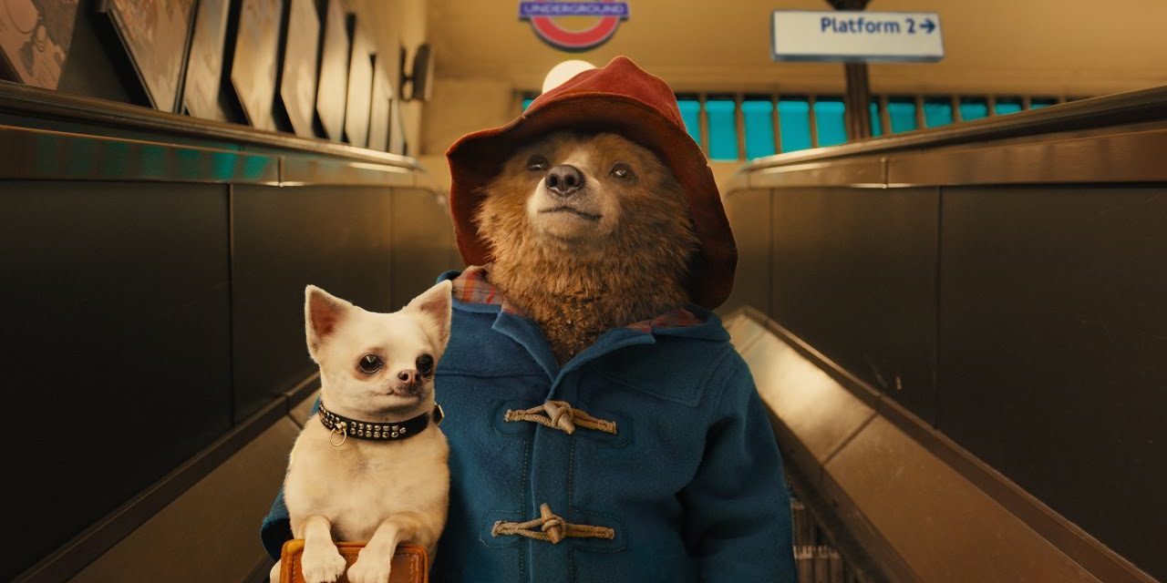 Paddington: il terzo capitolo è ufficialmente in produzione