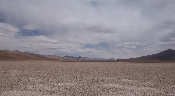 Tutti i vincitori della prima edizione di MAX3MIN