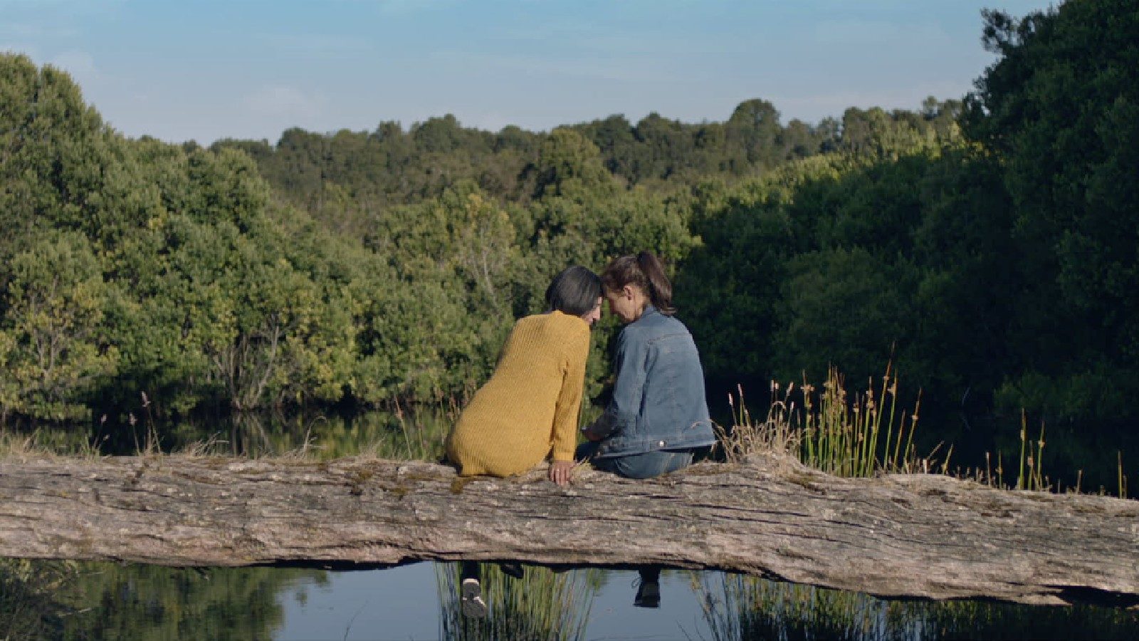 MUBI: le novità in arrivo a maggio