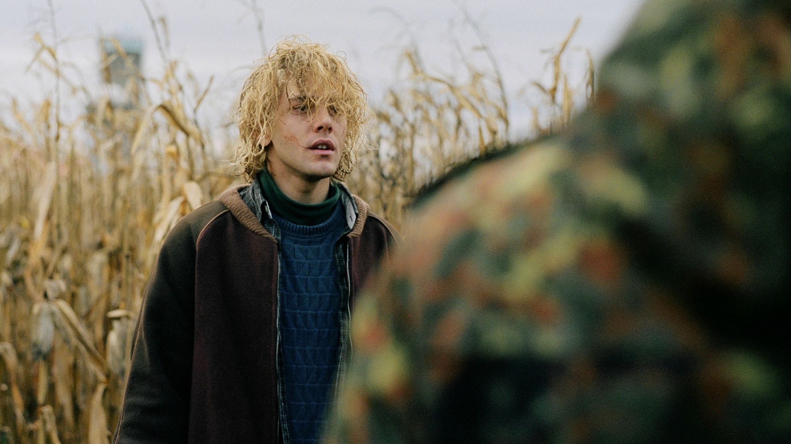 Tom à la ferme, Querelle de brest, Suspiria, 12 anni schiavo e altri film in TV della settimana