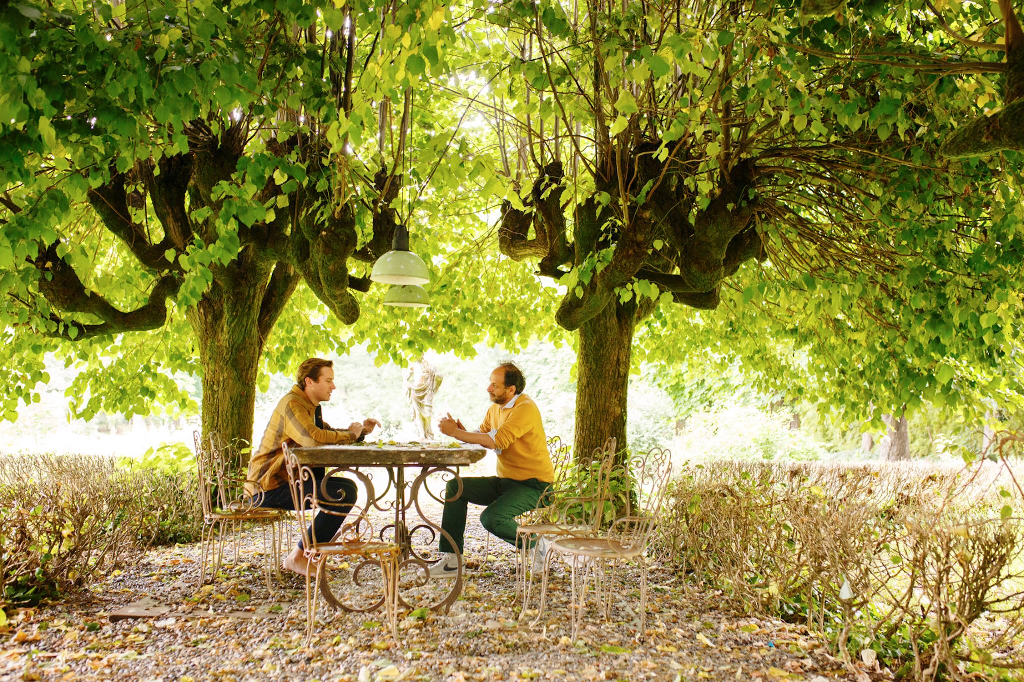 Festa del Cinema di Roma: Luca Guadagnino si racconta attraverso i suoi film preferiti