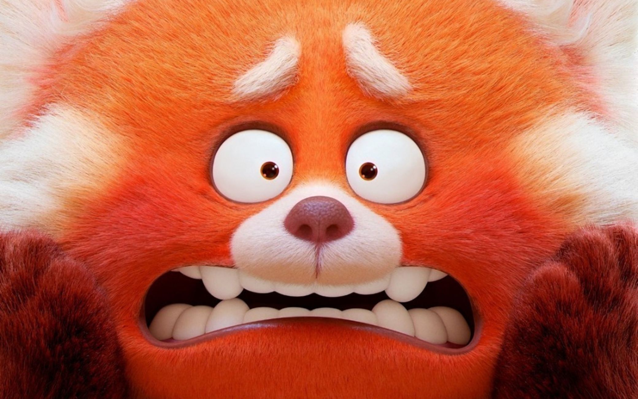 Red: il teaser trailer del nuovo film della Pixar