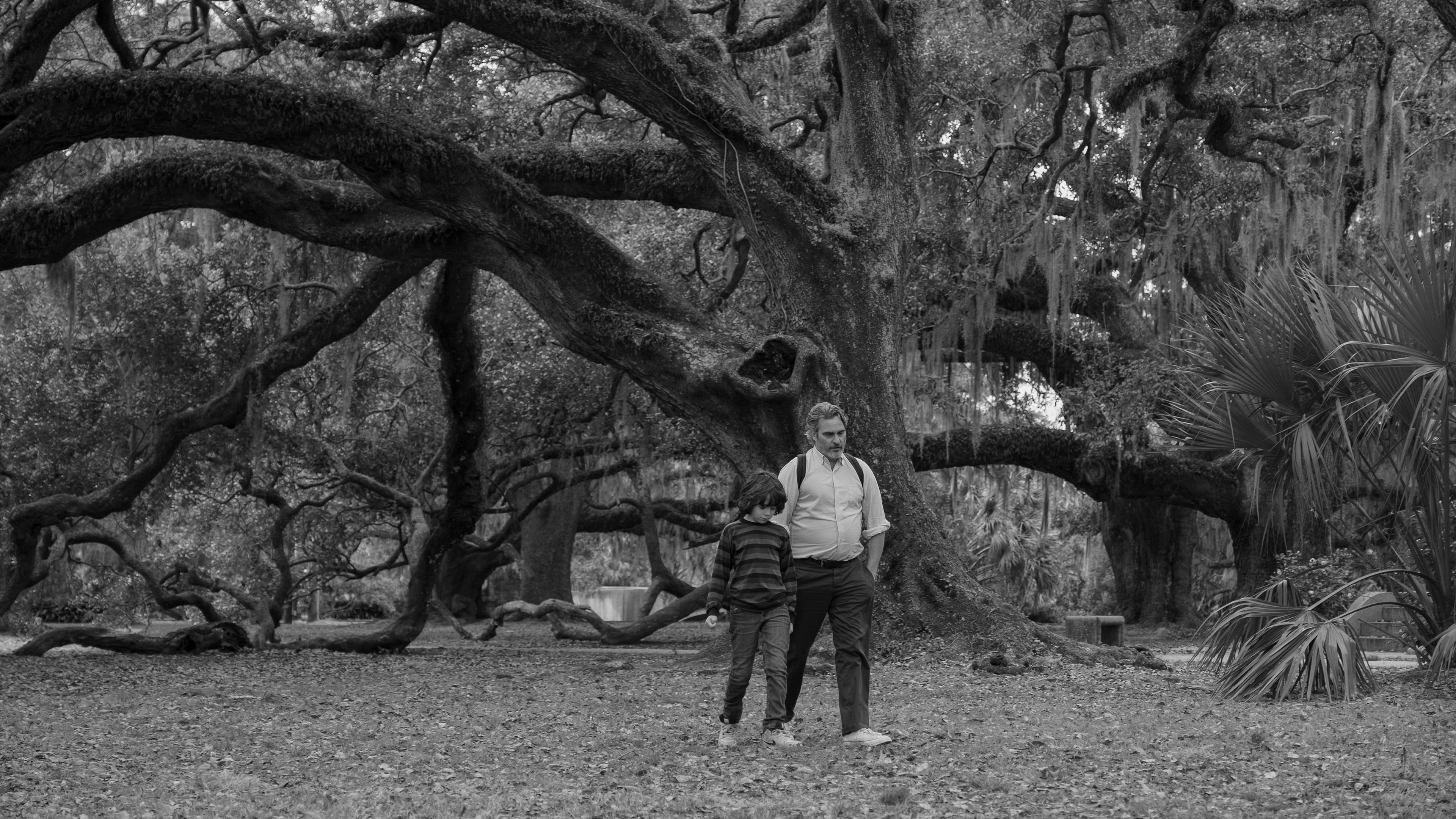 Camerimage: il direttore della fotografia Robbie Ryan vince la Rana d'oro per C'mon C'mon