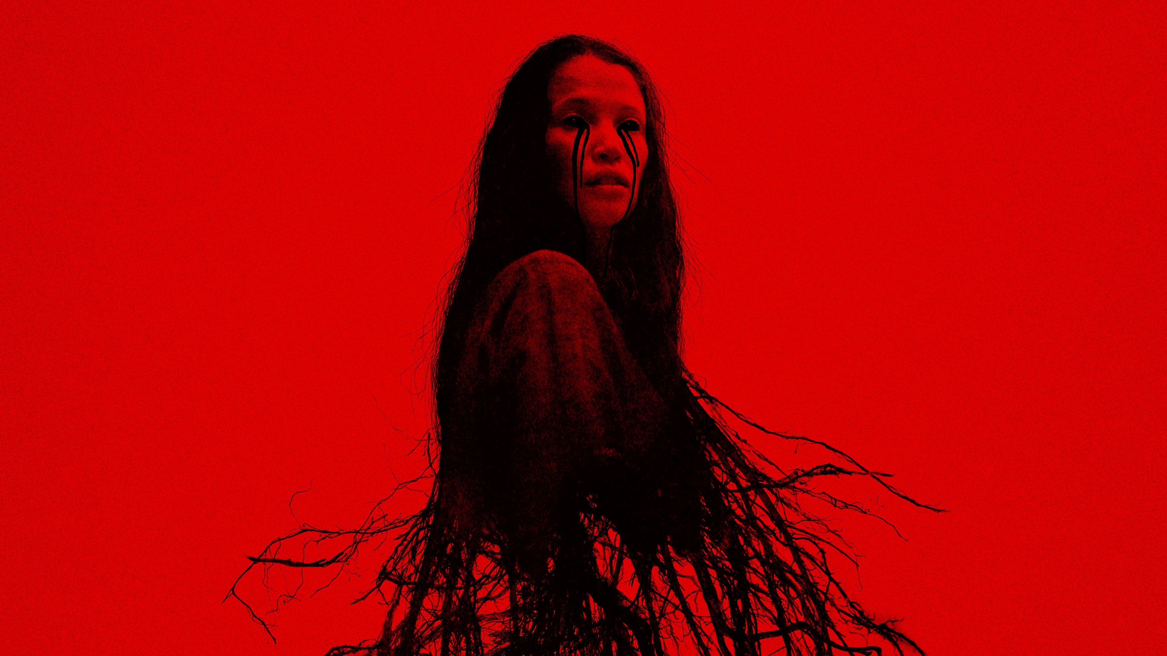 La giornata conclusiva di Oltre lo Specchio: il programma di mercoledì 24 novembre