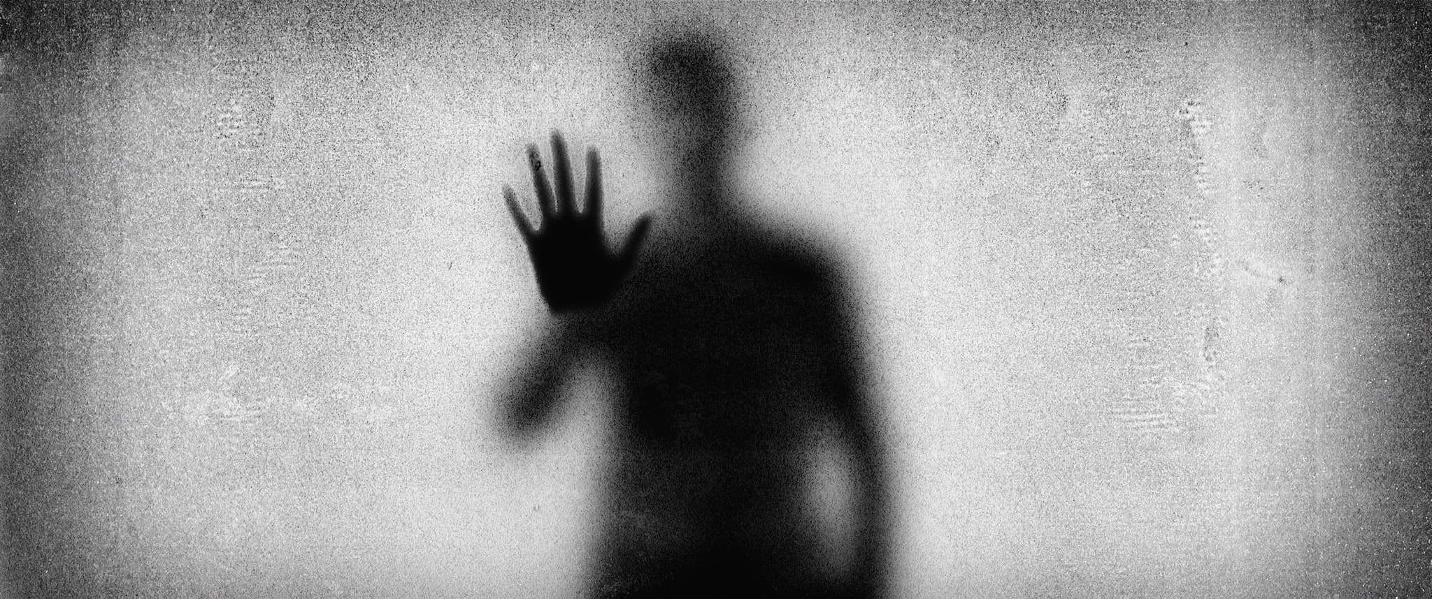 FESCAAAL 31 – Il racconto della ottava giornata: la prima italiana di tre (ottimi) film 