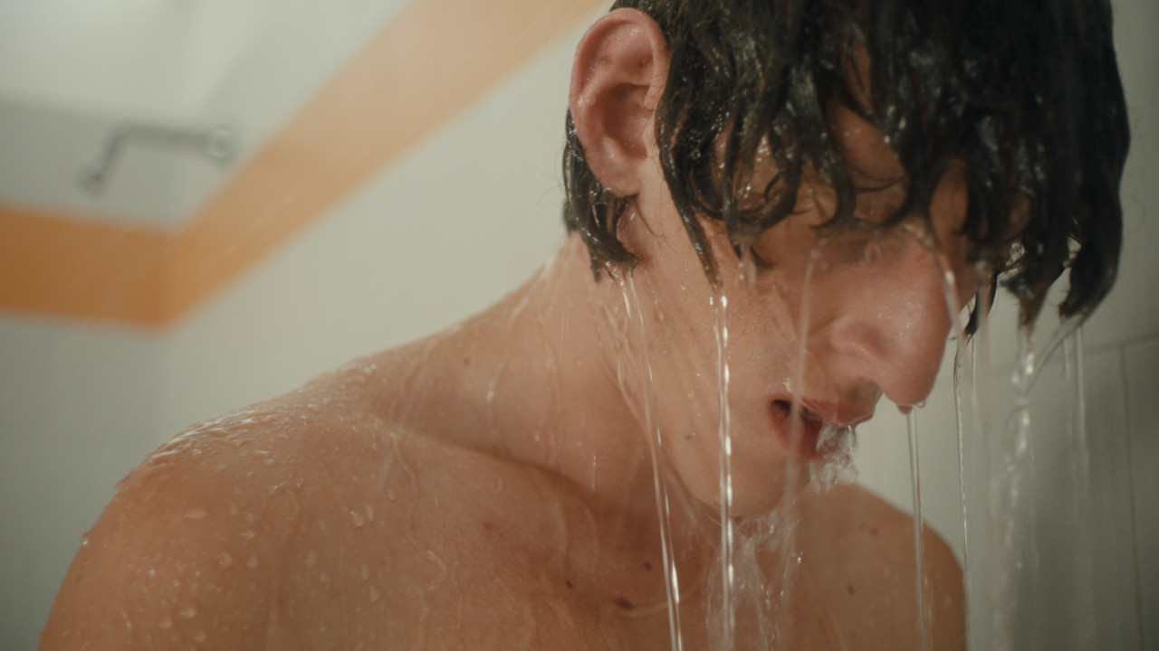 La timidezza delle chiome: un viaggio emozionale nei meandri della crescita che vi folgorerà sulla lunga distanza.