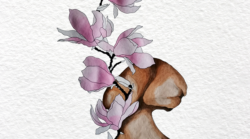 Milano-Bicocca, al via la prima edizione del  Master in Medical Humanities e Narrazione in Medicina