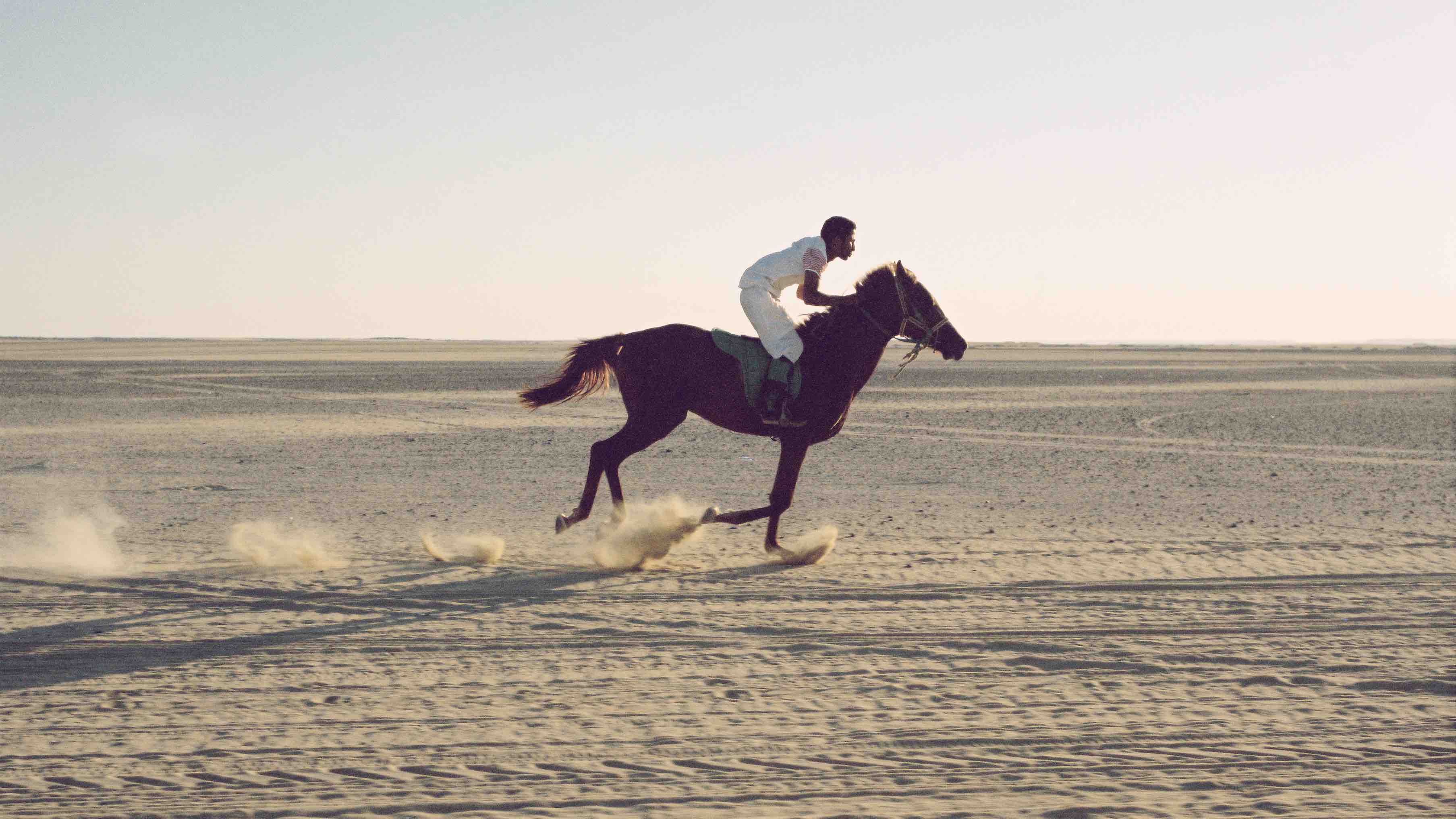 In arrivo l'undicesima edizione del festival del cinema rurale: torna sul lago d’Orta Corto e Fieno  2-3-4 ottobre 2020