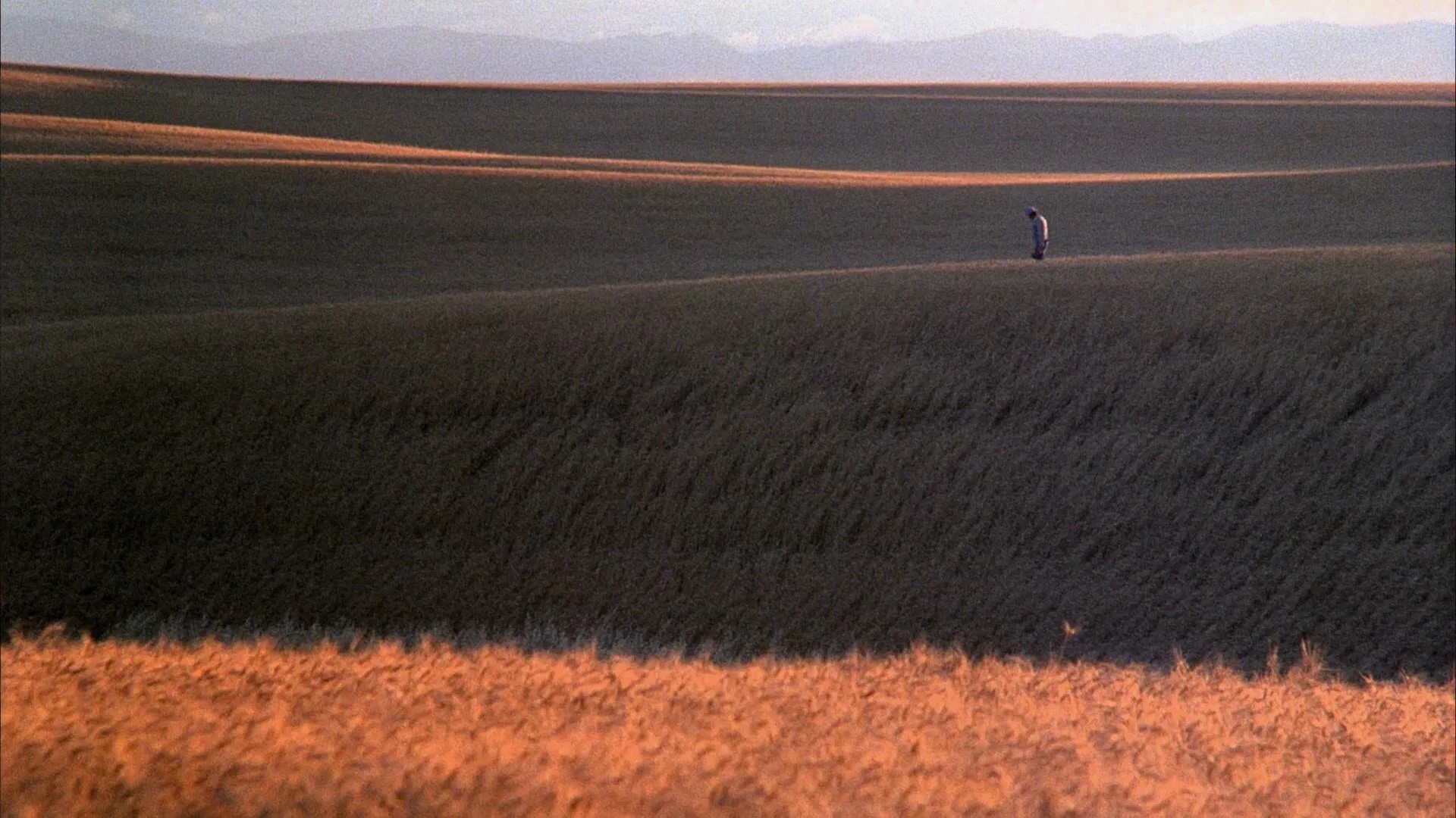 Il suono della natura e la disillusione dell’uomo: il quadro rurale di Days of Heaven