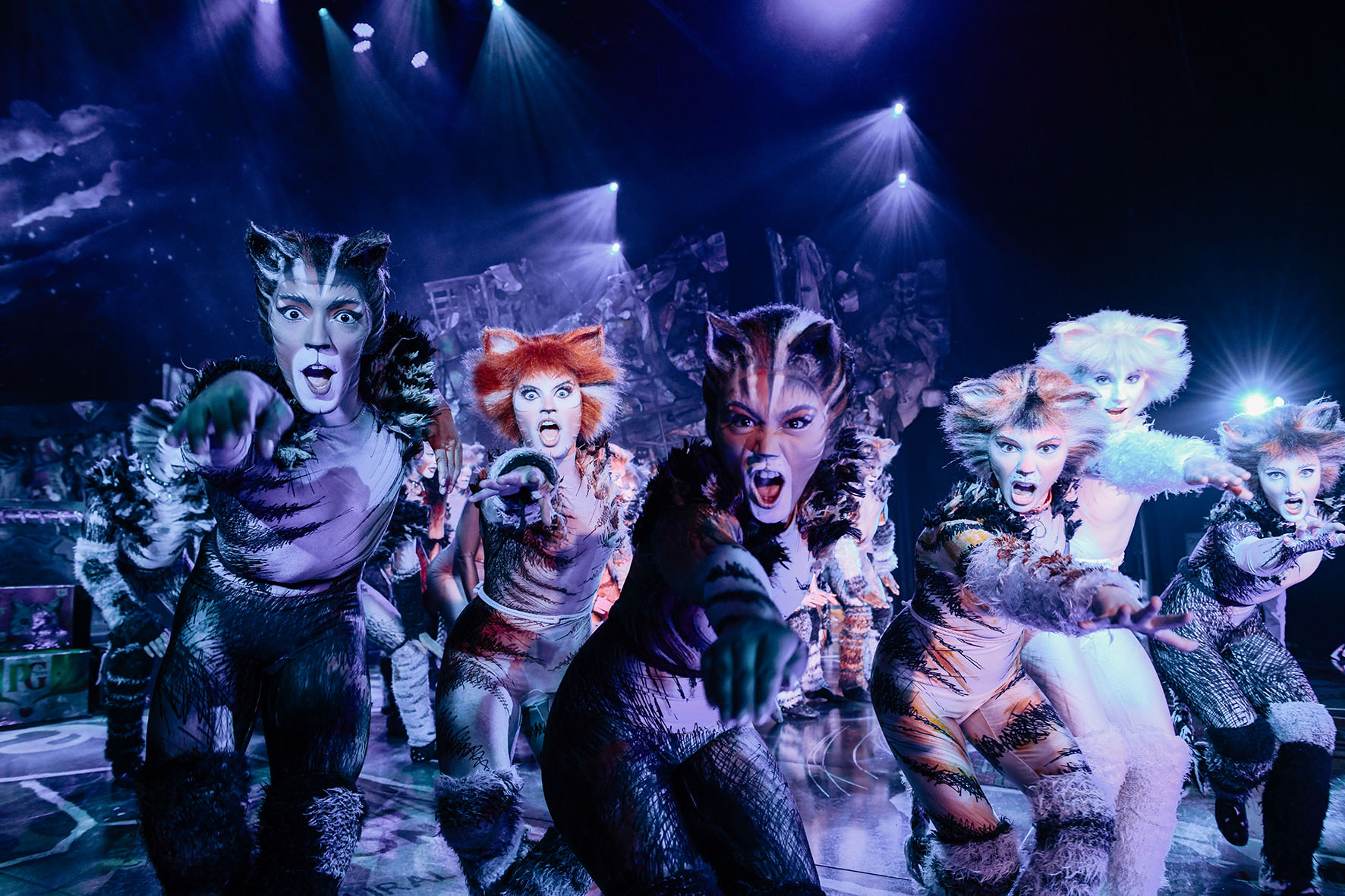 Cats, tra cinema e teatro