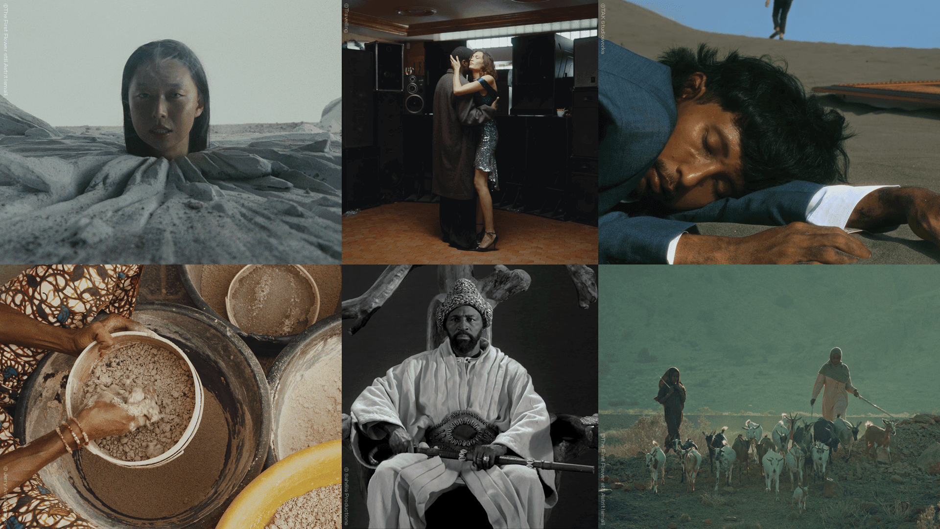 Locarno79: annunciate le selezioni di Pardi di Domani e Open Doors Screenings