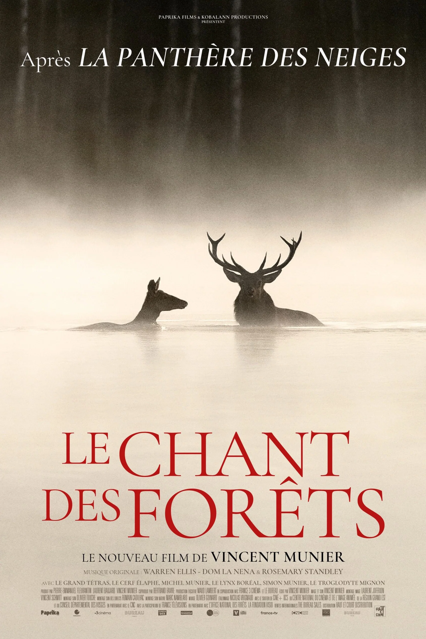Il canto della foresta